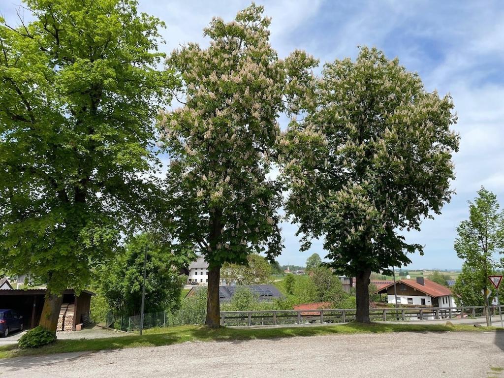 Ferienwohnung Meridiana Tuntenhausen Екстериор снимка